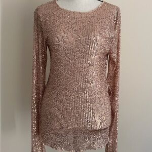 Free People Sequined Long-Sleeve Sequined Crewneck Top in Rose Gold